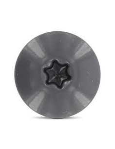 Parafusos rosca com cabeça de tremoço TORX T20 5,5 x 35 diâmetro da cabeça 12.3 Aço inoxidável A2 RAL7012 cinza 2