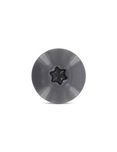Parafusos rosca com cabeça de tremoço TORX T20 5,5 x 35 diâmetro da cabeça 12.3 Aço inoxidável A2 RAL7012 cinza