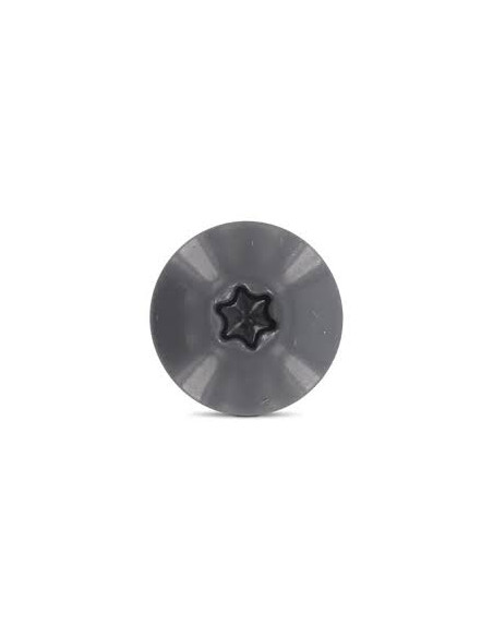 Parafusos rosca com cabeça de tremoço TORX T20 5,5 x 35 diâmetro da cabeça 12.3 Aço inoxidável A2 RAL7012 cinza