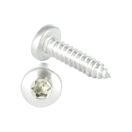 Parafuso de chapa cabeça abaulada larga 4,8X13 Aço inoxidável A2 TORX T25 RAL7006