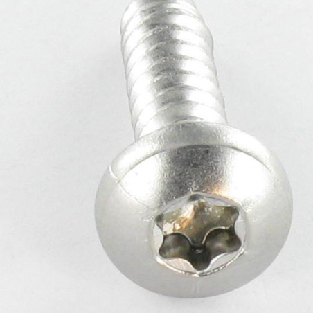 Parafuso de chapa cabeça abaulada larga 4,8X13 Aço inoxidável A2 TORX T25 RAL7006