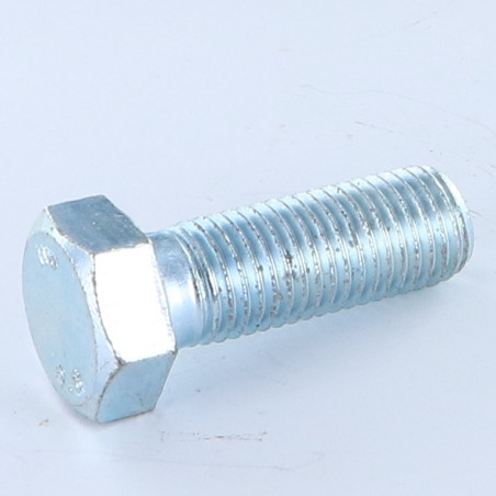 Corpo de parafuso cabeça hexagonal M12X45 Classe 8.8 Aço zinco branco
