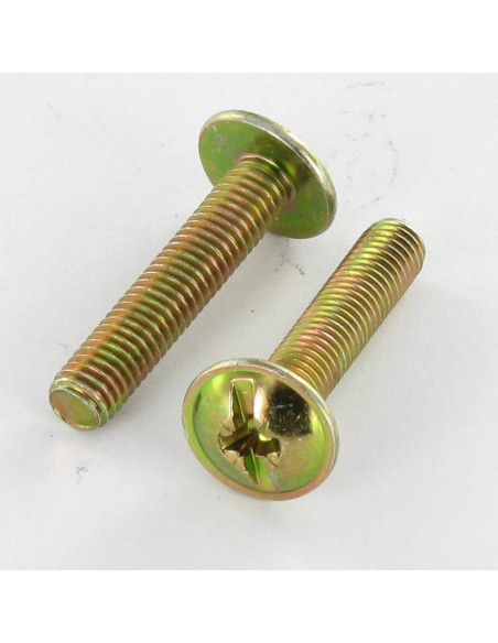 PARAFUSO cabeça de cogumelo Fenda Pozi M6X10 Dicromato