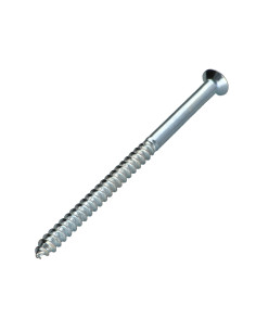 Parafuso de madeira cabeça fresada Pozi PZ7 6X100 Aço zinco branco 2