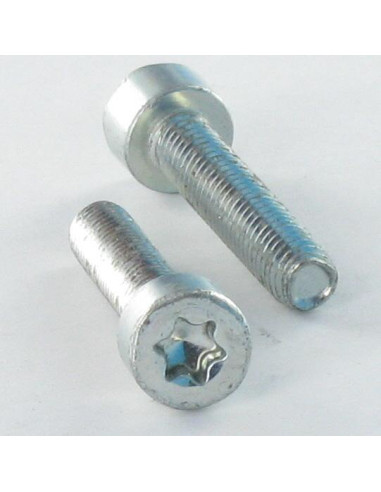 Parafuso autorroscante cabeça cilíndrica M5X20 TORX T25 Aço zinco branco