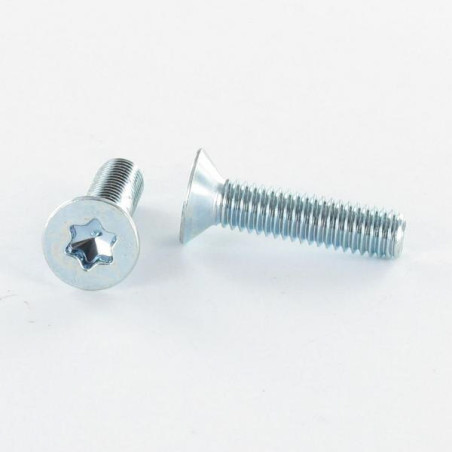 Parafuso de metais cabeça fresada M5X20 classe 10.9 TORX T20 Aço zinco branco