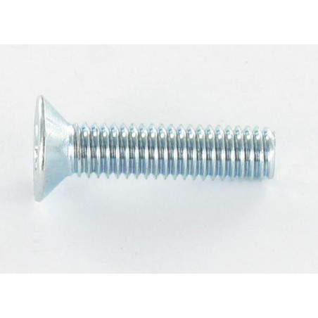 Parafuso de metais cabeça fresada M5X20 classe 10.9 TORX T20 Aço zinco branco