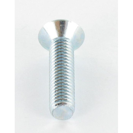 Parafuso de metais cabeça fresada M5X20 classe 10.9 TORX T20 Aço zinco branco