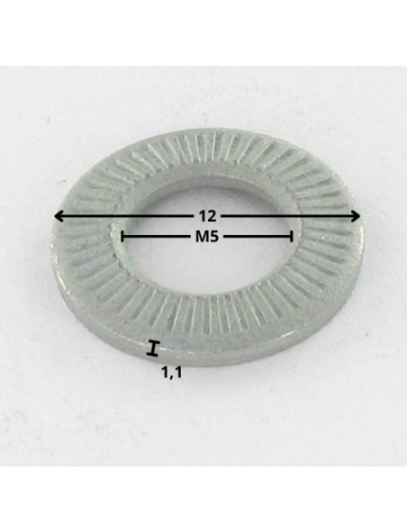Arruelas de contacto M5X12X1,1 Aço zinco branco gama M (Média)