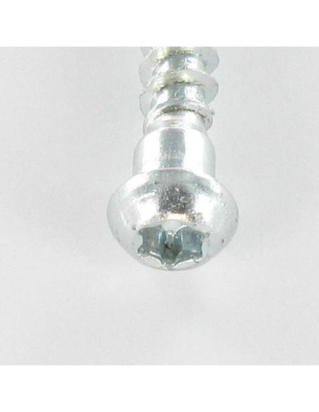 PARAFUSO FERRAGENS ANGULAR cabeça cilíndrica TORX T20 cut ponto antifenda tipo 17 Aço zinco branco 5X40