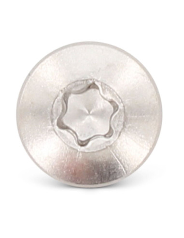 Autoperfurante cabeça cilíndrica 4,8X80 TORX T25 Aço inoxidável AISI 410