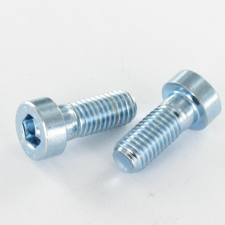 Parafuso de metais Parafuso cabeça oca sextavada BAIXO/BURACO chave de 5 M6X10 Classe 8.8 Aço zinco branco