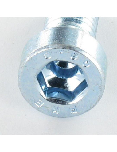 Parafuso de metais Parafuso cabeça oca sextavada BAIXO/BURACO chave de 5 M6X10 Classe 8.8 Aço zinco branco