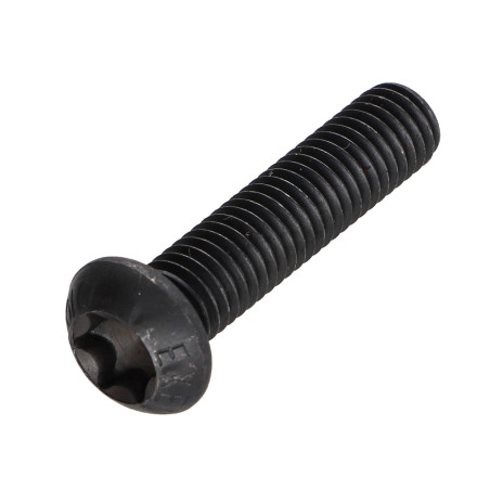 Parafuso de metais cabeça panela TORX T40 M8X30 classe 10.9 Aço