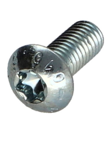 Parafuso de metais cabeça panela TORX T25 M5X6 classe 10.9 Aço zinco branco