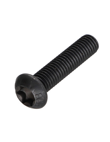 Parafuso de metais cabeça panela TORX T25 M5X30 classe 10.9 Aço