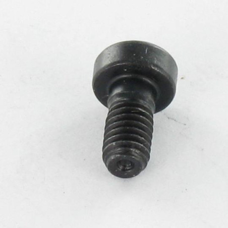 Parafuso de metais Parafuso cabeça oca sextavada BAIXO/BURACO chave de 4 M5X8 Classe 8.8 Aço bruto