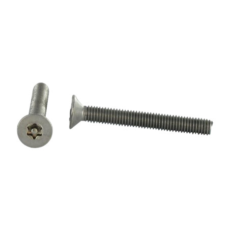 Parafuso de metais Aço inoxidável A2 Seguro cabeça fresada TORX T20 + Ponta biselada 4X6