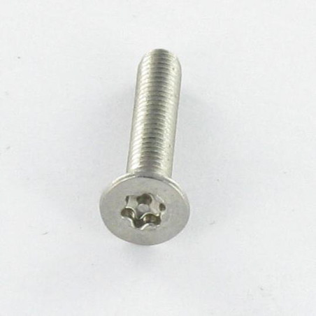 Parafuso de metais Aço inoxidável A2 Seguro cabeça fresada TORX T20 + Ponta biselada 4X6