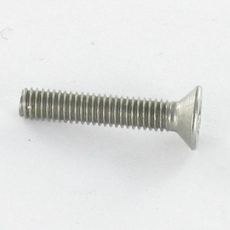 Parafuso de metais Aço inoxidável A2 Seguro cabeça fresada TORX T20 + Ponta biselada 4X6