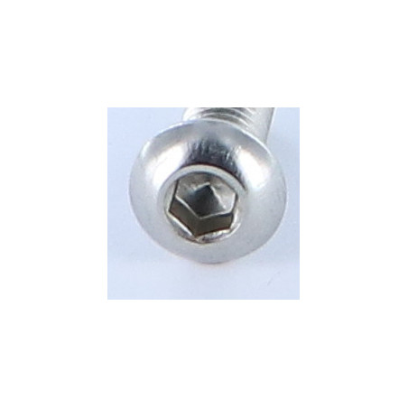 Parafuso de metais Parafuso de Cabeça Oca Sextavada M6X8 rosca total chave de 4 Aço inoxidável A4
