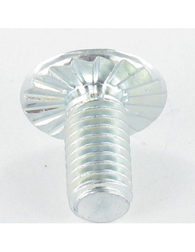 PARAFUSO cabeça de cogumelo Fenda Pozi M6X12 dentado Aço zinco branco