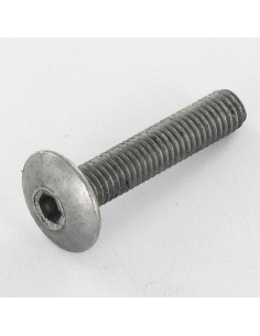 PARAFUSO cabeça de cogumelo M6X75 chave de 4 Aço bruto
