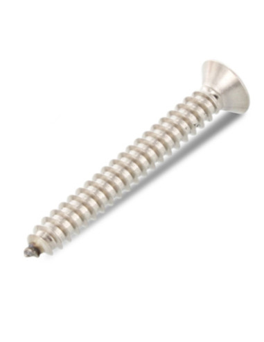 Parafuso de chapa cabeça fresada 4,8X38 TORX T25 Aço inoxidável A4