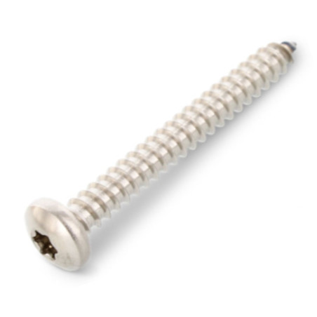 Parafuso de chapa cabeça cilíndrica panela 5,5X80 TORX T25 Aço inoxidável A4