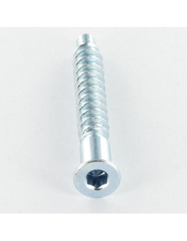 Parafuso autorroscante confirmat cabeça fresada hexagonal oco 5X50 SS dentado Aço zinco branco