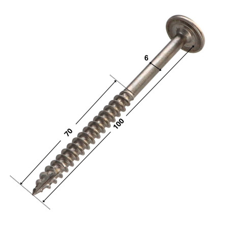 Parafuso estrutural cabeça de disco Aço inoxidável A2 6X100 roscado sobre 70 TORX T25 diâmetro da cabeça 15