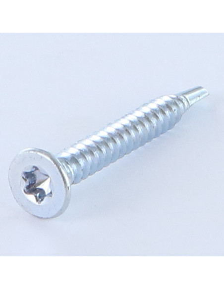 Autoperfurante cabeça fresada TORX T25 4,8X19 Aço zinco branco