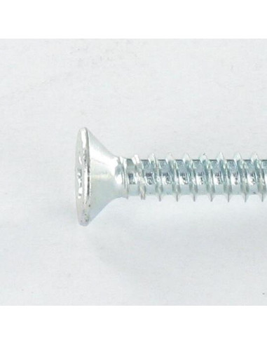 Autoperfurante cabeça fresada TORX T25 4,8X19 Aço zinco branco
