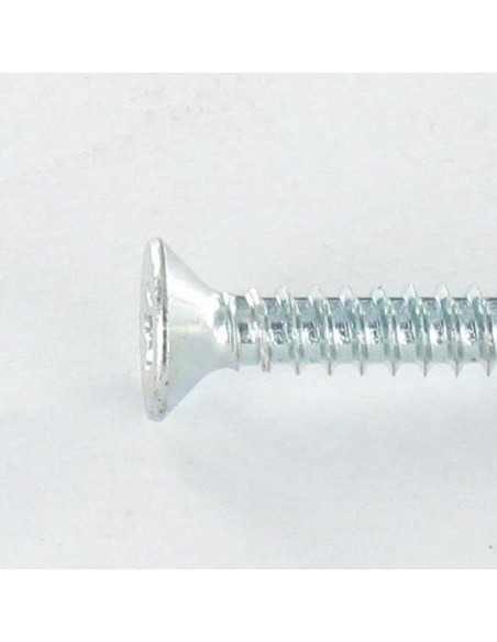 Autoperfurante cabeça fresada TORX T25 4,8X19 Aço zinco branco