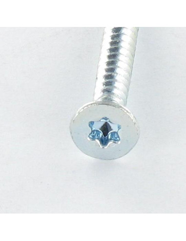Autoperfurante cabeça fresada TORX T25 4,8X19 Aço zinco branco