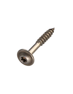 Parafuso estrutural cabeça de disco Aço inoxidável A2 8X60 roscado sobre 50 TORX T40 diâmetro da cabeça 20