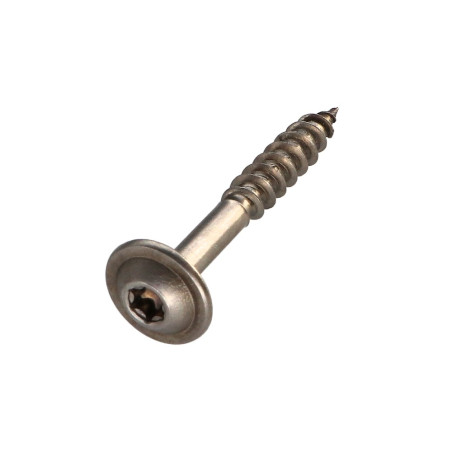 Parafuso estrutural cabeça de disco Aço inoxidável A2 8X50 rosca total TORX T40 diâmetro da cabeça 20