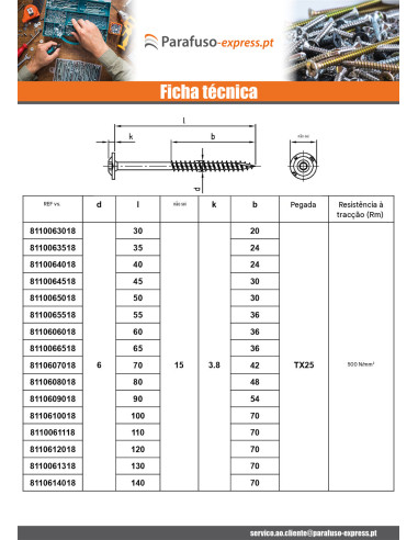 Parafuso estrutural cabeça de disco Aço inoxidável A2 8X50 rosca total TORX T40 diâmetro da cabeça 20