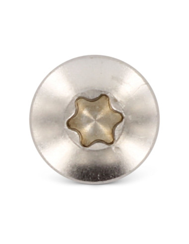 Parafuso de chapa cabeça cilíndrica panela 3,5 x 13 TORX T15 Aço inoxidável A4