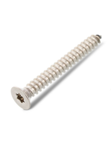 Parafuso de chapa cabeça fresada 5,5X80 TORX T25 Aço inoxidável A4