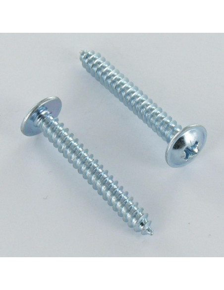 Parafuso de chapa cabeça de cogumelo Pozi 4,2 x 32 Aço zinco branco