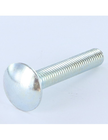 Parafuso cabeça redonda gola quadrada M10X30 rosca total Aço zinco branco