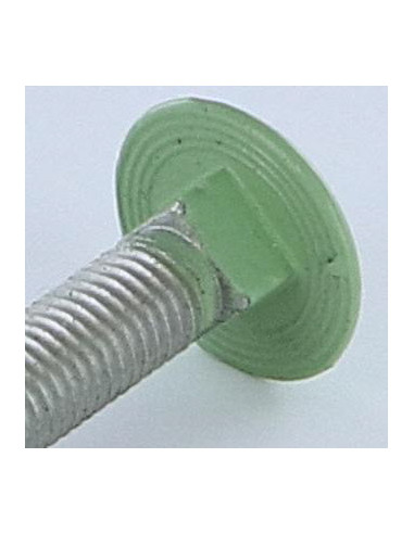 Parafuso cabeça redonda gola quadrada M7X40 passo de rosca de 100 rosca total Alumínio RAL6021 verde pálido 30%B