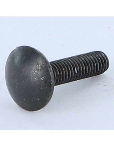 Parafuso cabeça redonda gola quadrada M8X20 rosca total Aço zinco preto