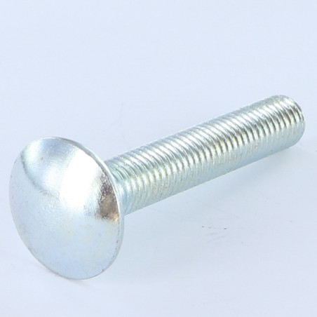 Parafuso cabeça redonda gola quadrada M14X50 rosca total Classe 8.8 Aço zinco branco