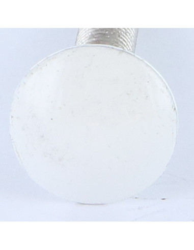 Parafuso cabeça redonda gola quadrada M7X40 passo de rosca de 100 rosca total Alumínio RAL9016 branco de