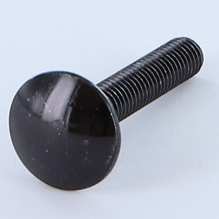 Parafuso cabeça redonda gola quadrada M6X35 rosca total Aço zinco preto