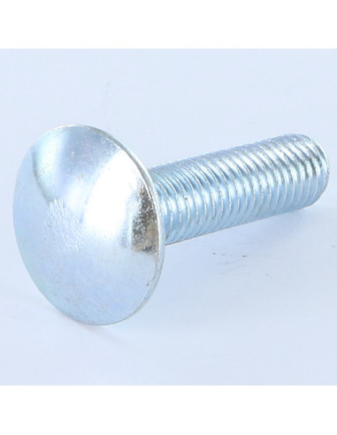 Parafuso cabeça redonda gola quadrada M10X20 rosca total Aço zinco branco