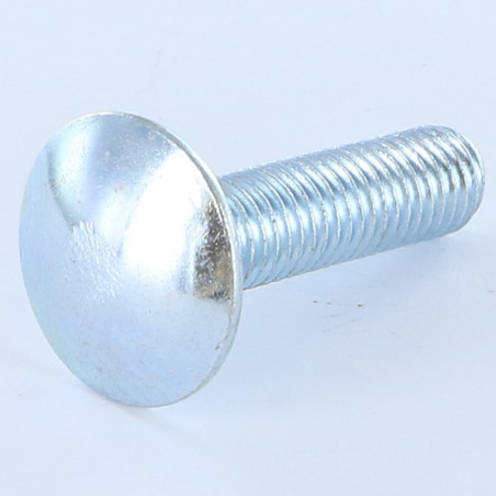 Parafuso cabeça redonda gola quadrada M10X20 rosca total Aço zinco branco