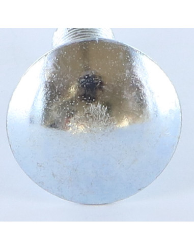 Parafuso cabeça redonda gola quadrada M10X20 rosca total Aço zinco branco